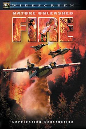 Fire (2004)