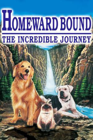Homeward Bound: De Ongelofelijke Reis (1993)