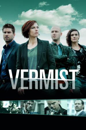 Vermist (2008)