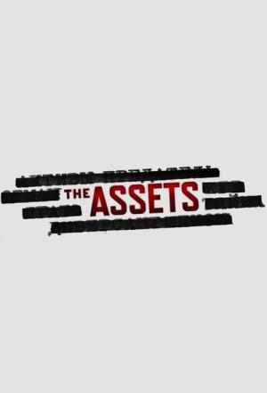 The Assets (2014)