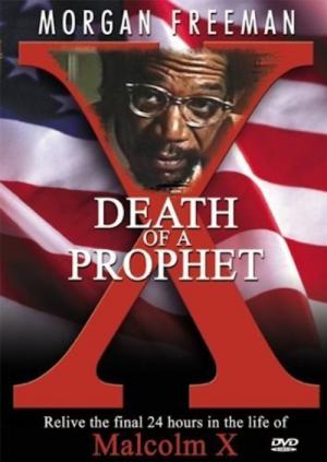 The Last Days of Malcolm X (1981)
