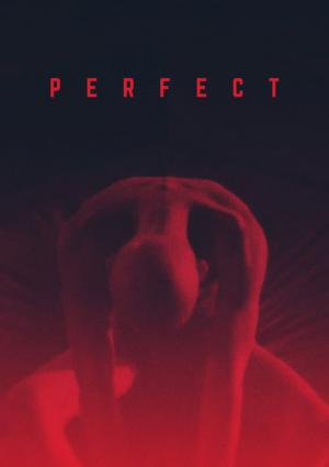Perfect (2018)