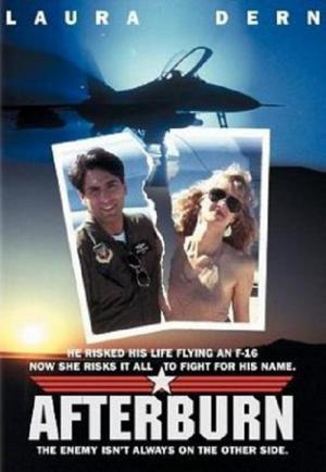 Le crash du F16 (1992)