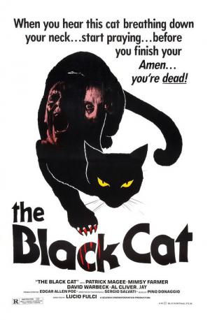 Il Gatto Nero (1981)