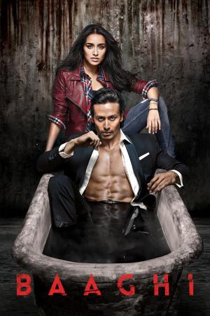 Baaghi: A Rebel for Love (2016)