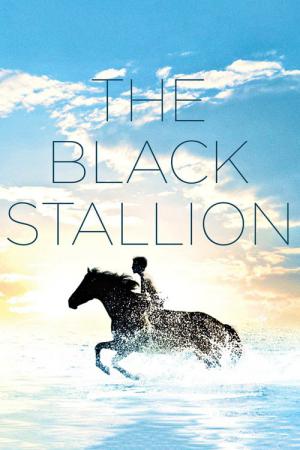 The Black Stallion (1979)