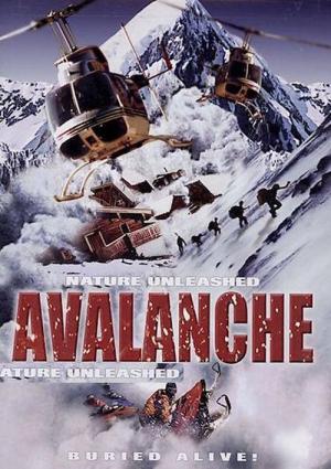 Avalanche (2004)