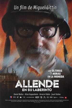 Allende en su laberinto (2014)