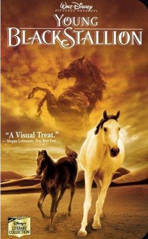 Young Black Stallion (2003)