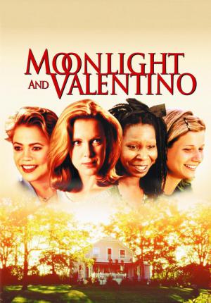 Moonlight and Valentino (1995)