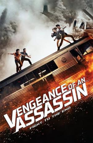 Vengeance of an Assassin (2014)