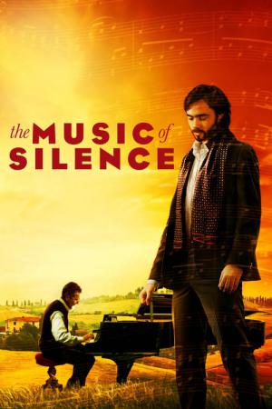 La musica del silenzio (2017)