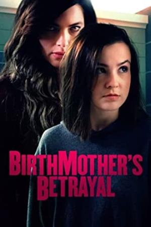A Birthmother's Secret (2020)