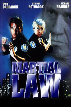 La Loi des arts martiaux (1990)
