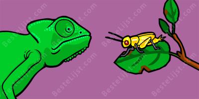 natuurlijke selectie films