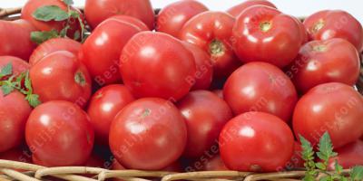 tomaat films