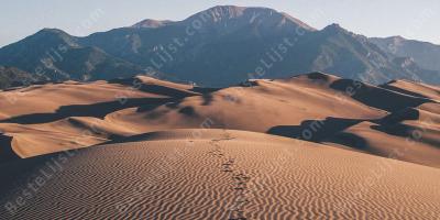 Mojave woestijn films