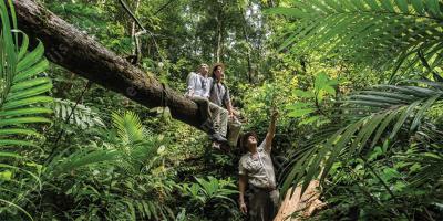jungle-avontuur films