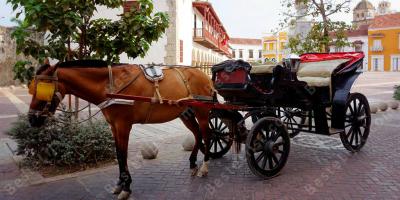 paardenkar films