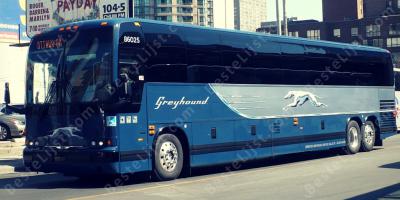 windhond bus films