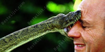 in het gezicht gebeten films