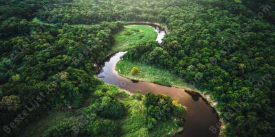 Amazone-oerwoud films