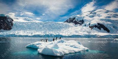 antarctisch films