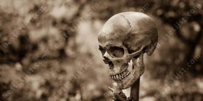 ontbonden lichaam films