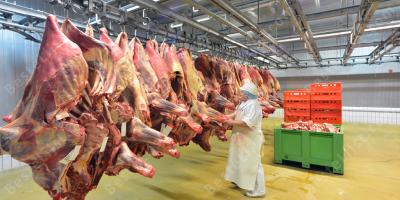 vleesindustrie films