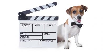 hond acteur films