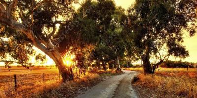 landelijke weg films