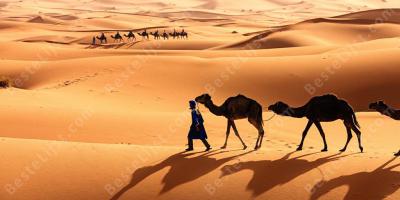 Sahara woestijn films