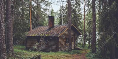 hut in het bos films