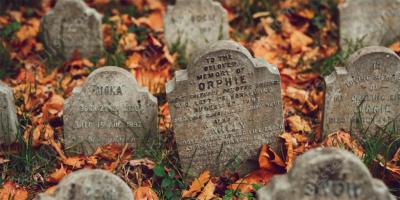 dierenbegraafplaats films