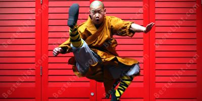 Shaolin monnik films