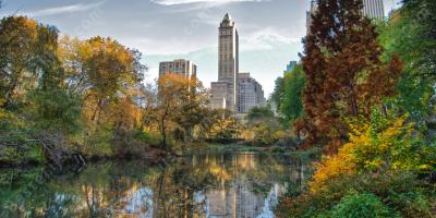 centrale park films